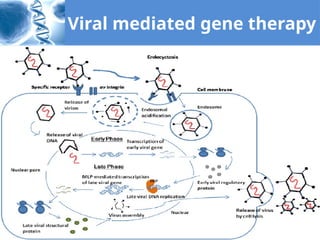Comprehensive Overview of Gene Therapy Techniques and Applications | PPTX