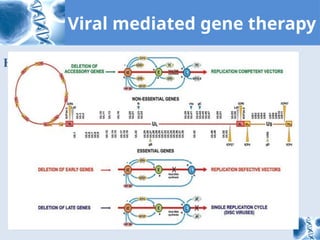 Comprehensive Overview of Gene Therapy Techniques and Applications | PPTX