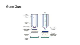 Gene Therapy 07-08-2023 Molecular pharmaceutics | PPTX