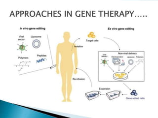 gene therapy : recent advances in gene therapy and clinical application ...