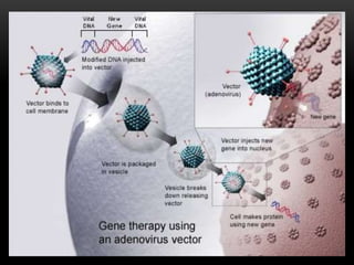 Gene therapy and gene delivery systems | PPTX