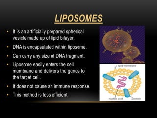 Gene therapy and gene delivery systems | PPTX