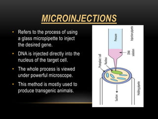 Gene therapy and gene delivery systems | PPTX
