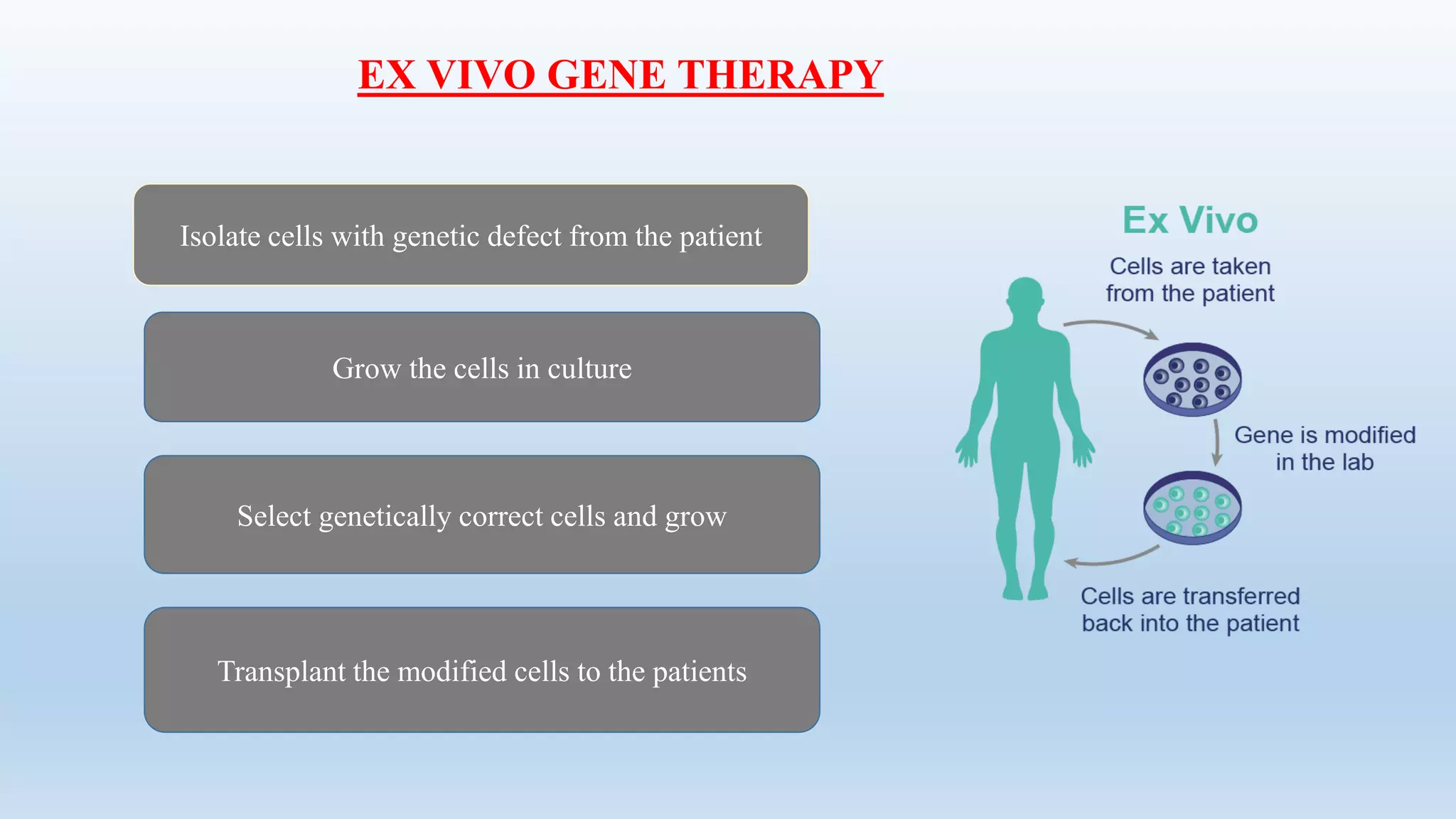 POTENTIAL TARGET DISEASES FOR GENE THERAPY | PDF