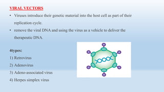 VIRAL VECTORS
• Viruses introduce their genetic material into the host cell as part of their
replication cycle.
• remove the viral DNA and using the virus as a vehicle to deliver the
therapeutic DNA.
4types:
1) Retrovirus
2) Adenovirus
3) Adeno-associated virus
4) Herpes simplex virus
 