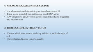 c) ADENO ASSOCIATED VIRUS VECTOR
• It is a human virus that can integrate into chromosome 19.
• It is a single stranded, non pathogenic small DNA virus.
• AAV enters host cell, becomes double stranded and gets integrated
into chromosome.
d) HERPEX SIMPLEX VIRUS VECTOR
• Viruses which have natural tendency to infect a particular type of
cell.
• They infect and persist in nervous cells
 