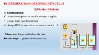 B) INTRODUCTION OF GENES INTO CELLS
(1)Physical Methods
a) Electroporation
 Short electric pulses of specific strength is applied
 creates holes in cell membrane
 foreign DNA in suspension can enter inside the cell.
Advantage- Simple and technically easy.
Disadvantage- High risk of contamination.
 
