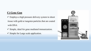 C) Gene Gun
 Employs a high pressure delivery system to shoot
tissue with gold or tungsten particles that are coated
with DNA
 Simple, ideal for gene mediated immunization.
 Simple for Large scale application.
 