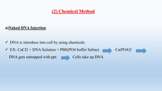 (2) Chemical Method
a)Naked DNA Injection
 DNA is introduce into cell by using chemicals
 EX- CaCl2 + DNA Solution + PBS(PO4 buffer Saline) Ca(PO4)2
DNA gets entrapped with ppt Cells take up DNA
 