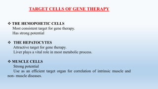 TARGET CELLS OF GENE THERAPY
 THE HEMOPOIETIC CELLS
Most consistent target for gene therapy.
Has strong potential
 THE HEPATOCYTES
Attractive target for gene therapy.
Liver plays a vital role in most metabolic process.
 MUSCLE CELLS
Strong potential
Use as an efficient target organ for correlation of intrinsic muscle and
non- muscle diseases.
 