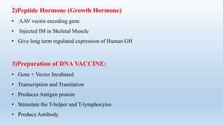 2)Peptide Hormone (Growth Hormone)
• AAV vector encoding gene
• Injected IM in Skeletal Muscle
• Give long term regulated expression of Human GH
3)Preparation of DNA VACCINE:
• Gene + Vector Incubated
• Transcription and Translation
• Produces Antigen protein
• Stimulate the T-helper and T-lymphocytes
• Produce Antibody
 
