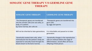 SOMATIC GENE THERAPY GERMLINE GENE THERAPY
The therapeutic genes are transferred
into the somatic cells (non sex-cells), or
body, of a patient.
Eg: bone marrow, skin cells etc
Therapeutic genes are transferred into
germ cells.
Eg: eggs and sperms
Will not be inherited to later generations. It is inheritable and passed on to later
generation.
Genetically treated stem cells, when
reintroduced into the patient's body are
expected to naturally travel through the
blood stream to the bone marrow.
Genetically changes in the reproductive
cells (or embryo) before the stage of
differentiation, would affect all future
offspring of that person.
SOMATIC GENE THERAPY V/S GERMLINE GENE
THERAPY
 