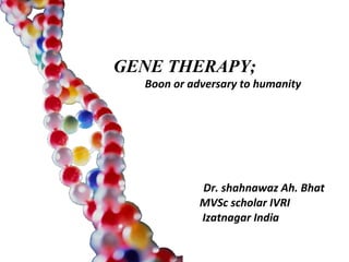 GENE THERAPY; Boon or adversary to humanity Dr. shahnawaz Ah. Bhat MVSc scholar IVRI  Izatnagar India 