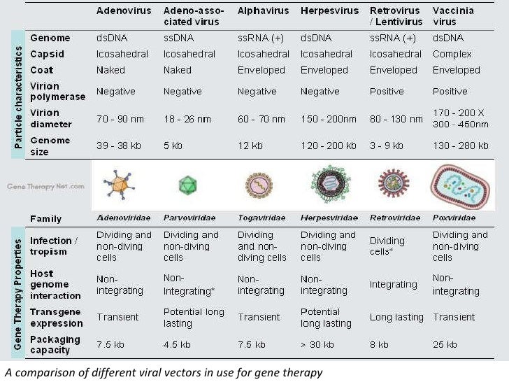 Gene Therapy;Boon Or Adversary To Humanity