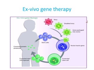 Ex-vivo gene therapy
 