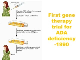 First gene
therapy
trial for
ADA
deficiency
-1990
 