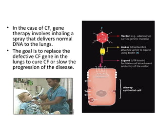 • In the case of CF, gene
therapy involves inhaling a
spray that delivers normal
DNA to the lungs.
• The goal is to replace the
defective CF gene in the
lungs to cure CF or slow the
progression of the disease.
 