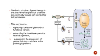 Gene therapy(dr ravindra daggupati) | PPTX
