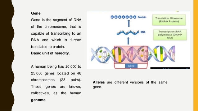 Gene therapy : Basic introduction