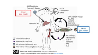 Figure 1
Molecular Therapy - Methods & Clinical Development 2016 3, DOI: (10.1038/mtm.2016.34)
Copyright © 2016 Official journal of the American Society of Gene & Cell Therapy Terms and Conditions
 