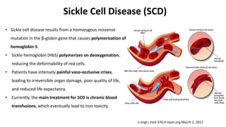 Sickle Cell Disease (SCD)
• Sickle cell disease results from a homozygous missense
mutation in the β-globin gene that causes polymerization of
hemoglobin S.
• Sickle hemoglobin (HbS) polymerizes on deoxygenation,
reducing the deformability of red cells.
• Patients have intensely painful vaso-occlusive crises,
leading to irreversible organ damage, poor quality of life,
and reduced life expectancy.
• Currently, the main treatment for SCD is chronic blood
transfusions, which eventually lead to iron toxicity.
n engl j med 376;9 nejm.org March 2, 2017
 