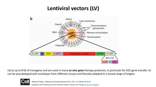 Figure 2
Molecular Therapy - Methods & Clinical Development 2016 3, DOI: (10.1038/mtm.2016.34)
Copyright © 2016 Official journal of the American Society of Gene & Cell Therapy Terms and Conditions
Lentiviral vectors (LV)
Carry up to 8 kb of transgene and are used in many ex vivo gene therapy protocols, in particular for HSC gene transfer. LV
can be pseudotyped with envelopes from different viruses and thereby adapted to a broad range of targets
 
