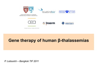 Gene therapy of human β
             py          β-thalassemias



P. Leboulch – Bangkok TIF 2011
 