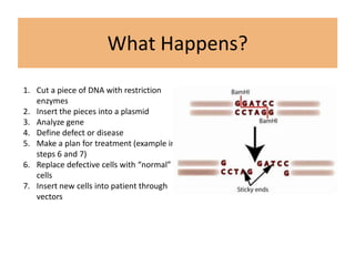 What Happens?
1. Cut a piece of DNA with restriction
   enzymes
2. Insert the pieces into a plasmid
3. Analyze gene
4. Define defect or disease
5. Make a plan for treatment (example in
   steps 6 and 7)
6. Replace defective cells with “normal”
   cells
7. Insert new cells into patient through
   vectors
 