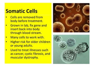 Somatic Cells
•   Cells are removed from
    body before treatment.
•   Grown in lab, fix gene and
    insert back into body
    through blood stream.
•   Many cells to work with.
•   Higher risk for older children
    or young adults.
•   Used to treat illnesses such
    as cancer, cystic fibrosis, and
    muscular dystrophy.
 