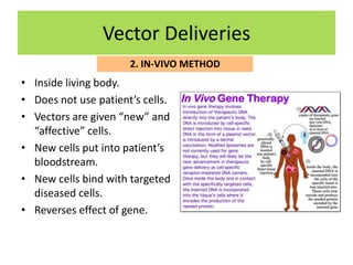 Vector Deliveries
                      2. IN-VIVO METHOD
• Inside living body.
• Does not use patient’s cells.
• Vectors are given “new” and
  “affective” cells.
• New cells put into patient’s
  bloodstream.
• New cells bind with targeted
  diseased cells.
• Reverses effect of gene.
 