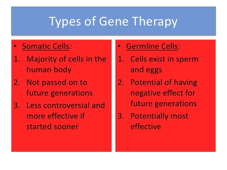 somatic cell gene therapy essay somatic cell gene therapy essay