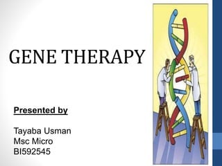 GENE THERAPY
Presented by
Tayaba Usman
Msc Micro
BI592545
 