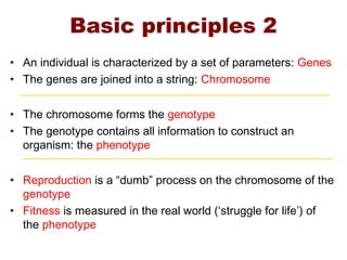 Basic principles 2
• An individual is characterized by a set of parameters: Genes
• The genes are joined into a string: Chromosome
• The chromosome forms the genotype
• The genotype contains all information to construct an
organism: the phenotype
• Reproduction is a “dumb” process on the chromosome of the
genotype
• Fitness is measured in the real world (‘struggle for life’) of
the phenotype
 