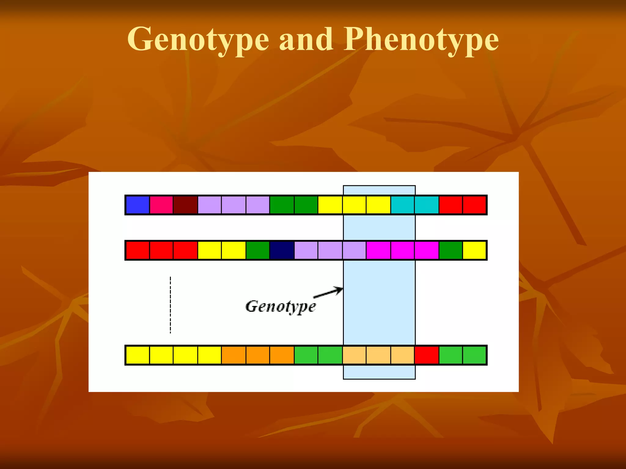 Genotype and Phenotype
 