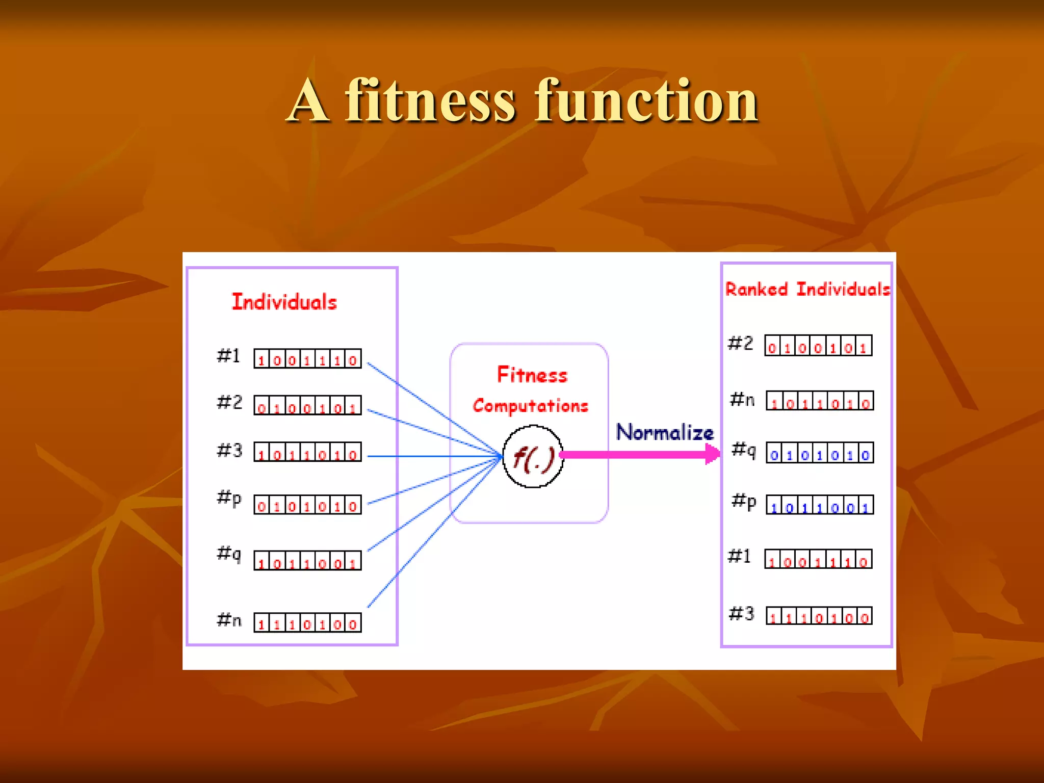 A fitness function
 