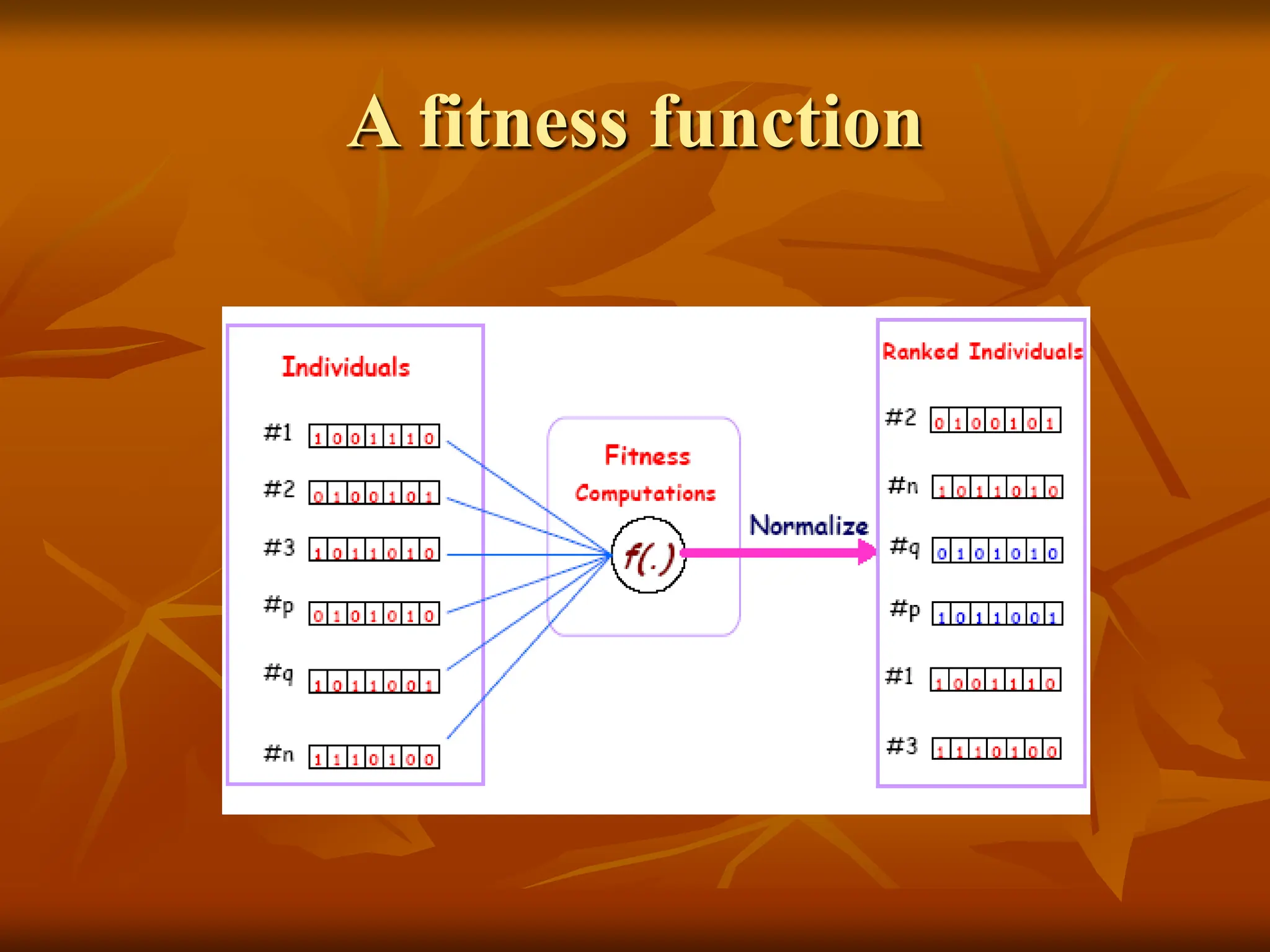 A fitness function 