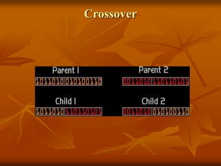 Crossover
 