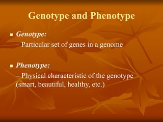 Genotype and Phenotype
 Genotype:
– Particular set of genes in a genome
 Phenotype:
– Physical characteristic of the genotype
(smart, beautiful, healthy, etc.)
 