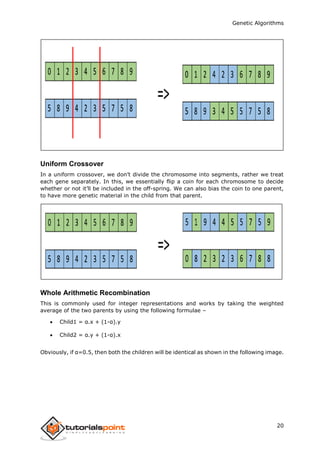 Genetic Algorithms
20
Uniform Crossover
In a uniform crossover, we don’t divide the chromosome into segments, rather we treat
each gene separately. In this, we essentially flip a coin for each chromosome to decide
whether or not it’ll be included in the off-spring. We can also bias the coin to one parent,
to have more genetic material in the child from that parent.
Whole Arithmetic Recombination
This is commonly used for integer representations and works by taking the weighted
average of the two parents by using the following formulae –
 Child1 = α.x + (1-α).y
 Child2 = α.y + (1-α).x
Obviously, if α=0.5, then both the children will be identical as shown in the following image.
 
