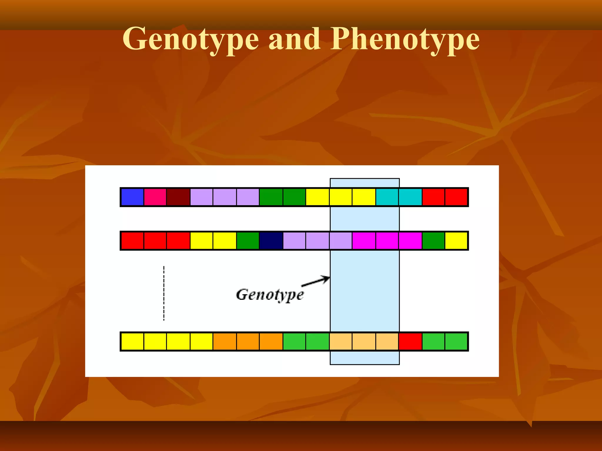 Genotype and Phenotype
 