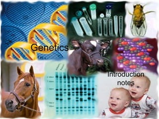 Genetics Introduction notes 