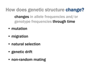 • mutation
• migration
• natural selection
• genetic drift
• non-random mating
How does genetic structure change?
changes in allele frequencies and/or
genotype frequencies through time
 