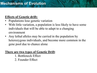 Mechanisms of Evolution
Effects of Genetic drift:
• Populations lose genetic variation
• With little variation, a population is less likely to have some
individuals that will be able to adapt to a changing
environment
• Any lethal alleles may be carried in the population by
heterozygous individuals, and become more common in the
gene pool due to chance alone
There are two types of Genetic Drift:
1. Bottleneck Effect
2. Founder Effect
 