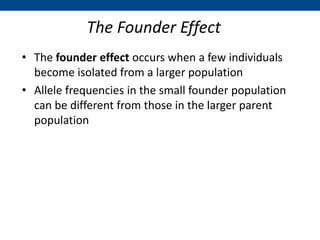 The Founder Effect
• The founder effect occurs when a few individuals
become isolated from a larger population
• Allele frequencies in the small founder population
can be different from those in the larger parent
population
 