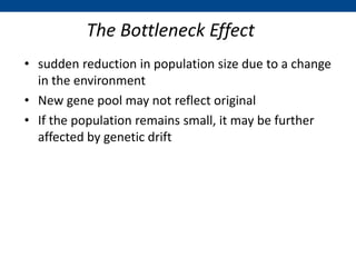 The Bottleneck Effect
• sudden reduction in population size due to a change
in the environment
• New gene pool may not reflect original
• If the population remains small, it may be further
affected by genetic drift
 
