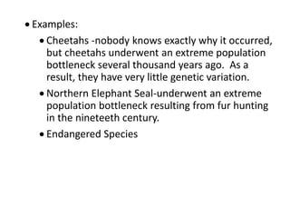  Examples:
 Cheetahs -nobody knows exactly why it occurred,
but cheetahs underwent an extreme population
bottleneck several thousand years ago. As a
result, they have very little genetic variation.
 Northern Elephant Seal-underwent an extreme
population bottleneck resulting from fur hunting
in the nineteeth century.
 Endangered Species
 