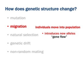 • introduces new alleles
individuals move into population
How does genetic structure change?
• mutation
• migration
• natural selection
• genetic drift
• non-random mating
“gene flow”
 