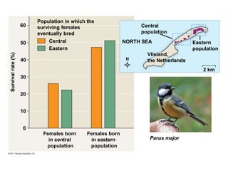 Population in which the
surviving females
eventually bred
Central
Eastern
Survival
rate
(%)
Females born
in central
population
Females born
in eastern
population
Parus major
60
50
40
30
20
10
0
Central
population
NORTH SEA Eastern
population
Vlieland,
the Netherlands
2 km
 