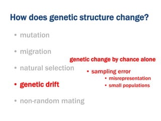 • sampling error
genetic change by chance alone
• misrepresentation
• small populations
How does genetic structure change?
• mutation
• migration
• natural selection
• genetic drift
• non-random mating
 