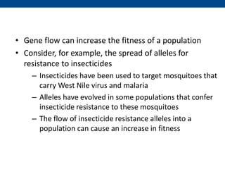 • Gene flow can increase the fitness of a population
• Consider, for example, the spread of alleles for
resistance to insecticides
– Insecticides have been used to target mosquitoes that
carry West Nile virus and malaria
– Alleles have evolved in some populations that confer
insecticide resistance to these mosquitoes
– The flow of insecticide resistance alleles into a
population can cause an increase in fitness
 